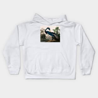 Bird of America  Bird, bird lover, america, beautiful  Public domain painting by John James Audubon Kids Hoodie